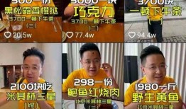 吃瓜视频在线观看全集 网红大logo,网红大Logo全解析，揭秘网络红人背后的秘密